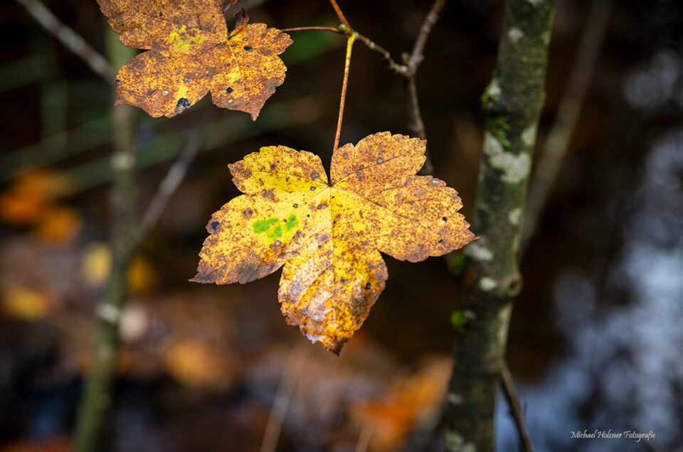 Herbst in den Berchtesgadener Alpen