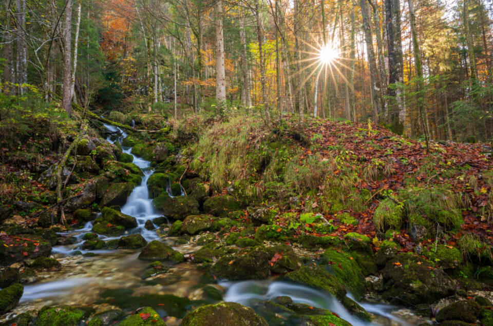 Herbstwanderung im Chiemgau