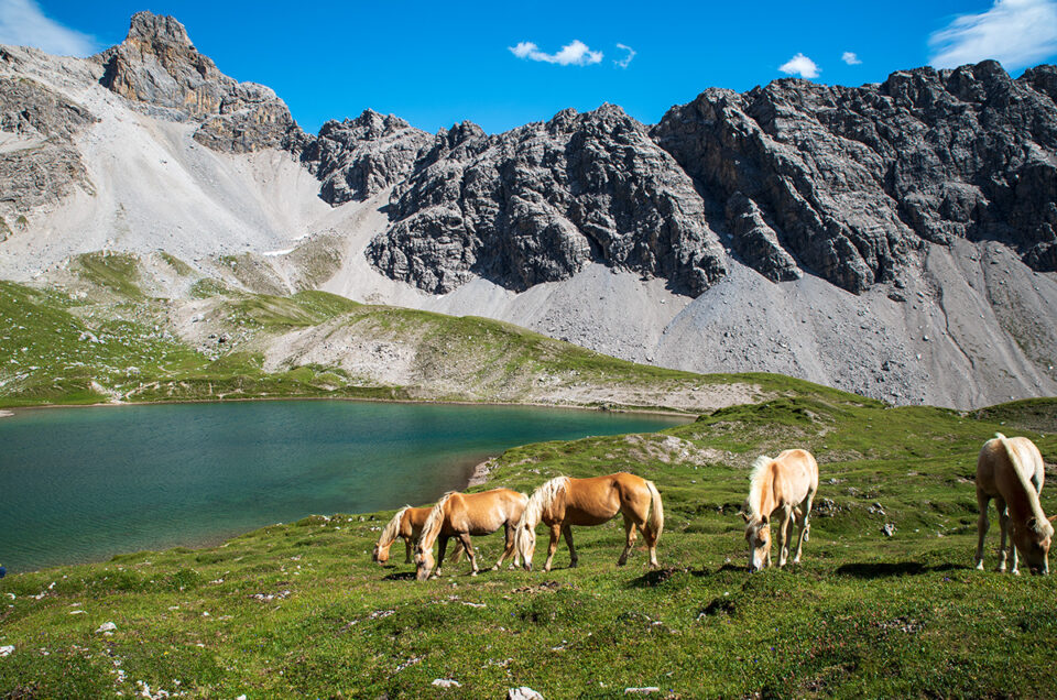 Steinsee / Lechtaler Alpen