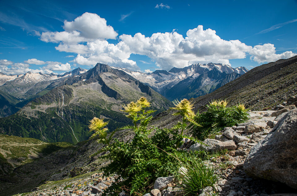 Berlinerhöhenweg